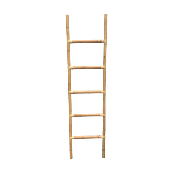 Climb | Ladder