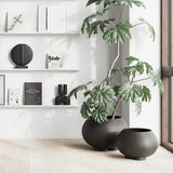 Urchin | Medio Plant pot Coffee